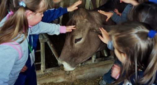 Le aziende agricole di Marca aperte alla visite didattiche