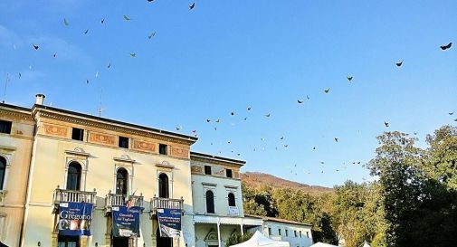 fiera di san gregorio a valdobbiadene