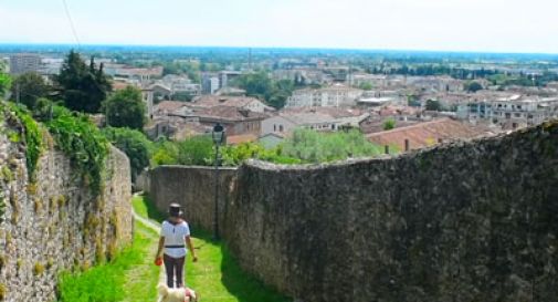 Conegliano o Coney Allen?