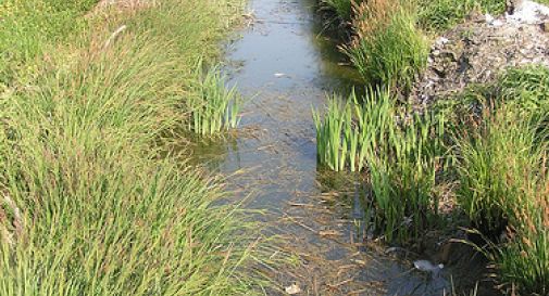 Corsi d’acqua, regole per evitare danni e inondazioni