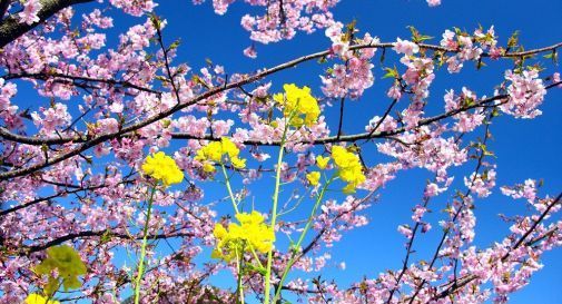 Bel tempo domenica e lunedì, ma sarà una Pasqua blindatissima