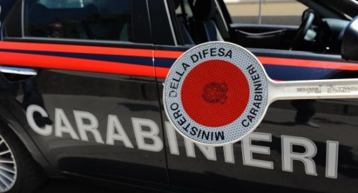 Viaggiava con 81 uccelli in auto, denunciato trevigiano e compagna