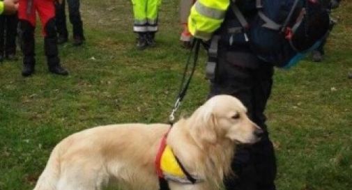 protezione civile treviso