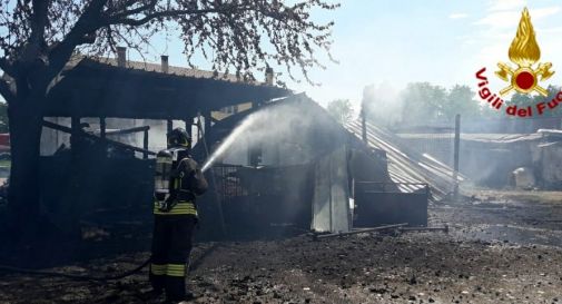 In fiamme una stalla a Trevignano: muoiono le pecore