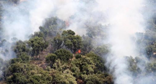 Incendi Italia, da inizio anno bruciati 110mila ettari