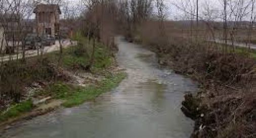 Piave in sicurezza: al via taglio vegetazione