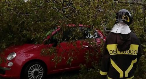 Grandine, temporali e vento: il maltempo fa ancora danni nel trevigiano