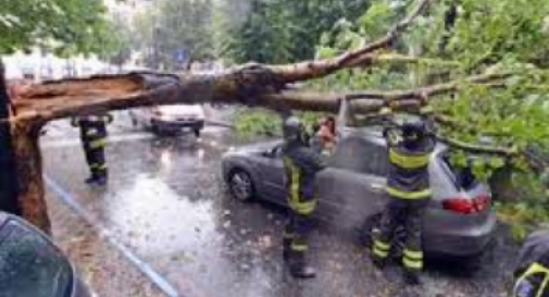 Maltempo, vento oltre 100 km/h in Sardegna: alberi sradicati e auto distrutte