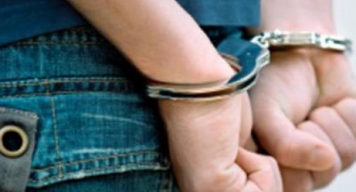 Stupra un cucciolo, poi invia le immagini alla sua ex: arrestato