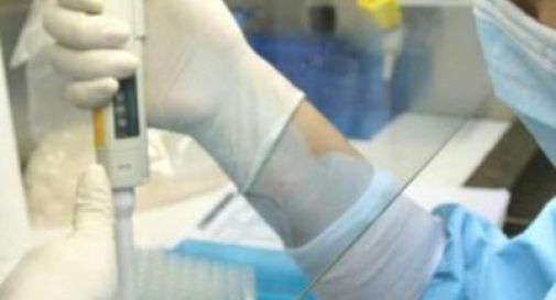 Batterio killer in ospedale, 10mila pazienti a rischio in Veneto