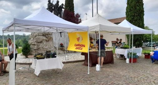 mercato agricolo a Falzè di Piave