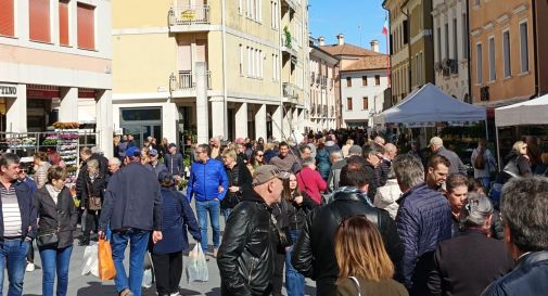 Parcheggi selvaggi a Motta: 