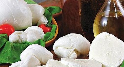 Trevisanlat a Sabelli, nasce polo mozzarella