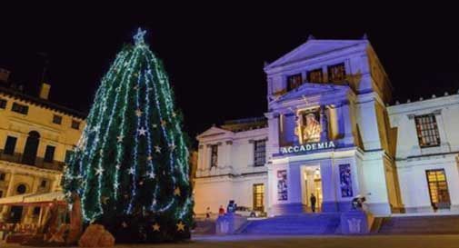 Conegliano, un albero di Natale di 16 metri in Piazza Cima