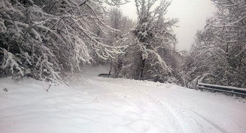 E' il giorno di 'Big Snow', pericolo valanghe sull'Appennino abruzzese Da Cuneo a Modena scuole chiuse. 