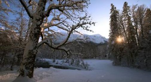 Il meteo sotto l'Albero