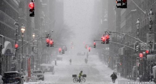 neve New York