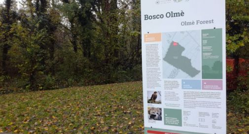 Cessalto, nuova certificazione per il bosco di Olmè