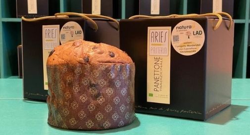 panettone solidale per bambini malati 