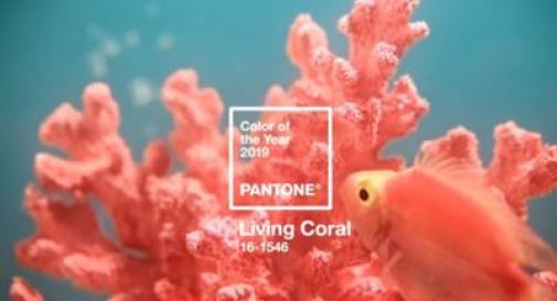 Living Coral è il colore del 2019 per Pantone