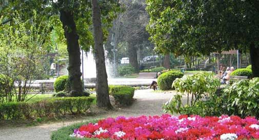 cigno vittorio veneto scappa dai giardini