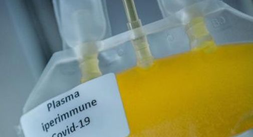 Coronavirus, donna incinta grave: arrivano sacche di plasma con volo di Stato