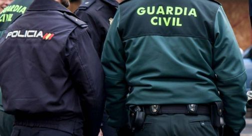 Uccide il coniglio della compagna, lo cucina e la costringe a mangiarlo: condannato 