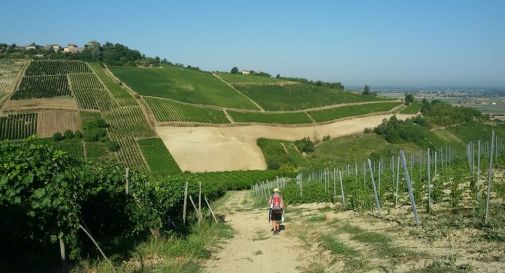 Camminatori della Postumia, tappa a Castelfranco