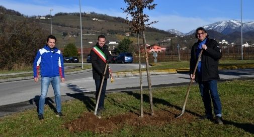 rally prealpi master show