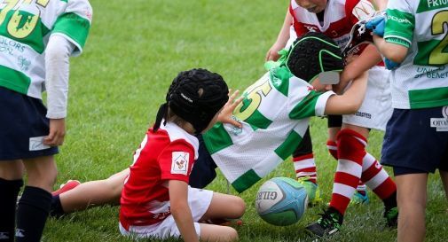 Mini-Rugby, Trofeo Città di Treviso alla 40^ edizione