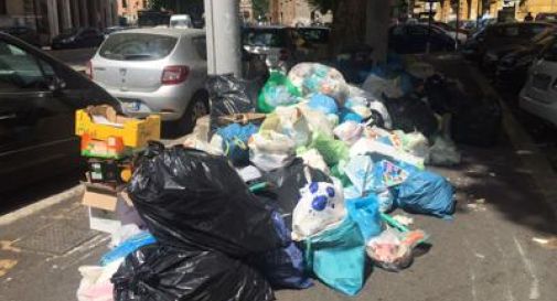 Roma, l'assessore all'Ambiente: 