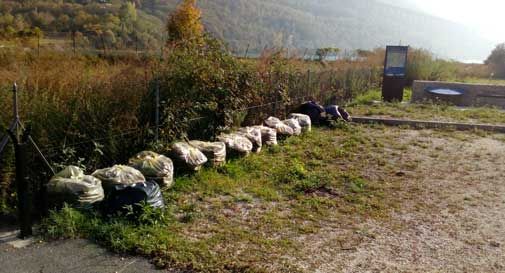 Area camper in Val Lapisina, l'erba lasciata a marcire nei sacchetti da due mesi