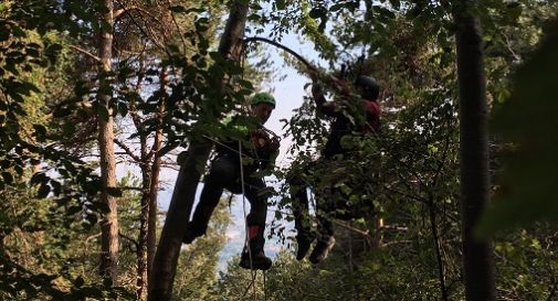 Borso, precipita col parapendio: rimane sospesa sugli alberi