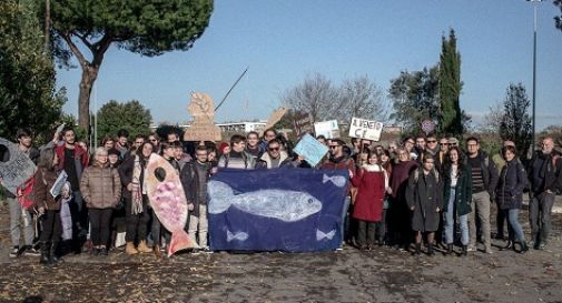 Le Sardine venete: protagoniste della società civile