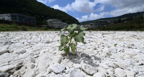 Siccità, stato di emergenza per cinque regioni