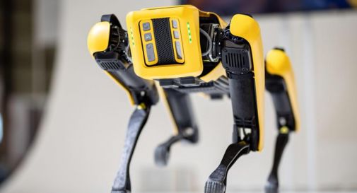 In Ucraina arriva Spot, il cane robot Usa che neutralizza mine inesplose