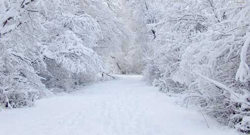 Arriva la neve in Veneto, dichiarato lo stato di attenzione