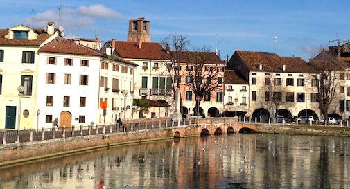 Treviso