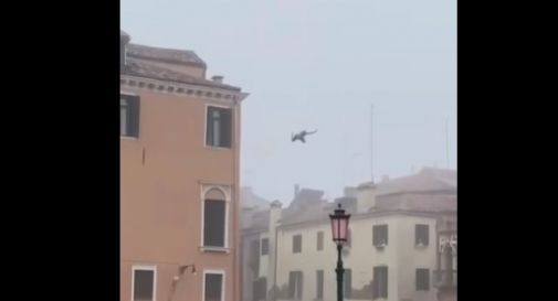 Venezia, si lancia dal tetto di un palazzo e si tuffa nel canale - IL VIDEO