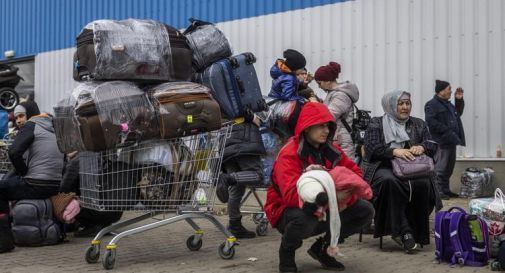 Conegliano, raccolgono 450 euro in poche ore e pagano il viaggio a quattro bambini ucraini