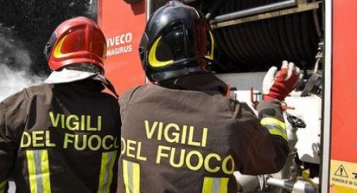 Pioggia e vento, alberi in strada