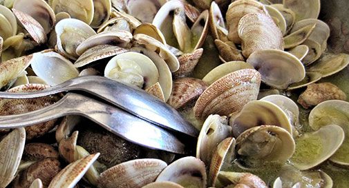 Vongole