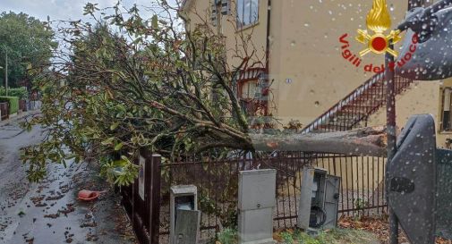 Maltempo in zona, interventi a raffica