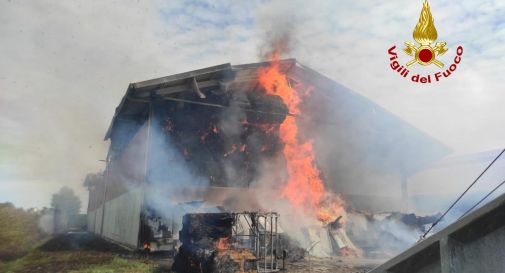 Incendio nell'azienda agricola, morti alcuni vitelli