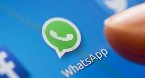 stop chat whatsapp mareno vazzola