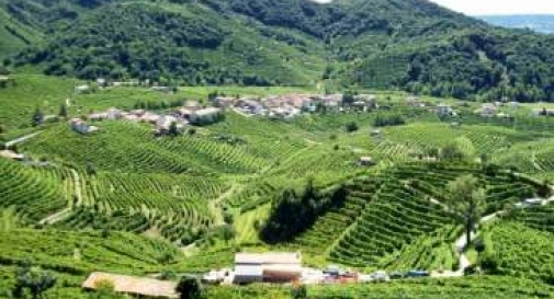 COLLINE DEL PROSECCO CANDIDATE A PATRIMONIO DELL’UMANITÀ