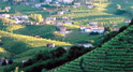 PROSECCO, MAPPATE LE COLLINE DEL CONEGLIANO VALDOBBIADENE