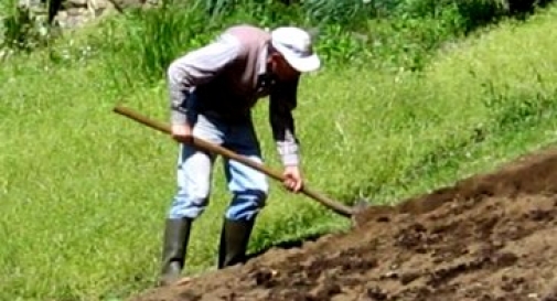 DEBITI, IMPRENDITORE AGRICOLO SI UCCIDE