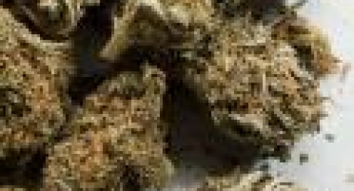 COLTIVAVA MARIJUANA A CASA IN UNA SERRA ARTIGIANALE 