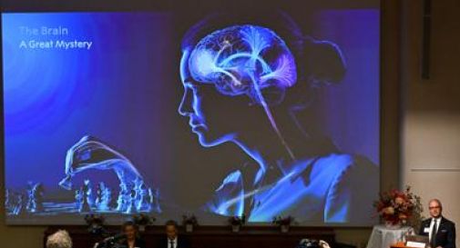 Un’alga e una luce blu: così è nata la scoperta che ha vinto il Nobel per la Medicina 2026.